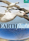 Kuş Bakışı Dünya: Avrupa