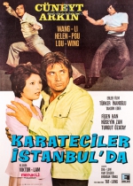 Karateciler İstanbulda poster